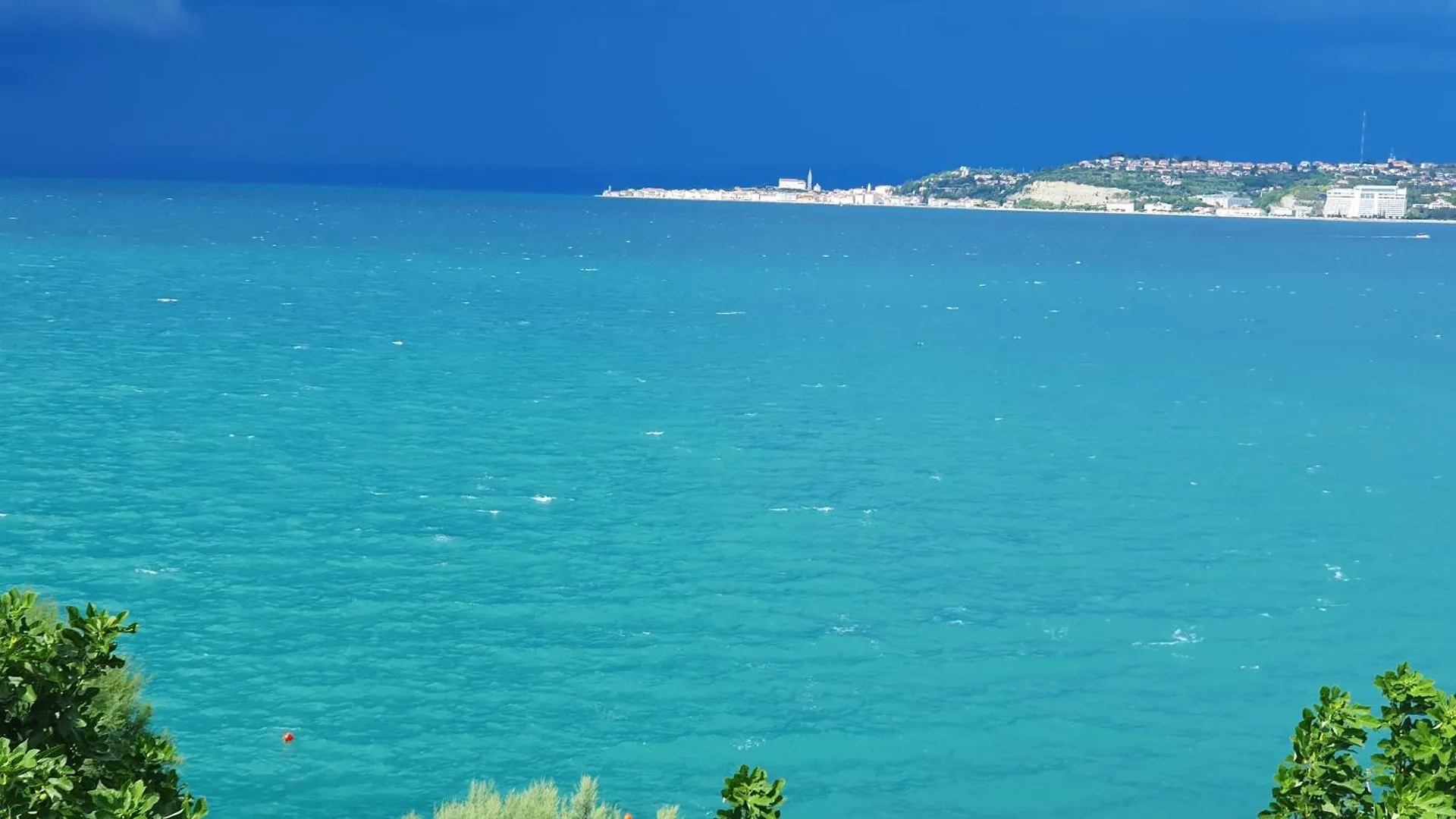 Heavenly House By The Sea Villa Savudrija 0*,  Croatia
